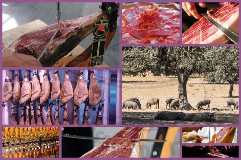 Jamón Ibérico: Cómo elegirlo, cortarlo y maridarlo como un profesional