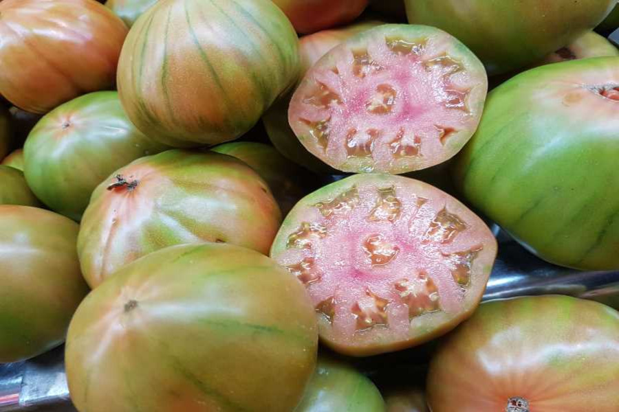 Tomates de El Perelló, Sueca - Valencia